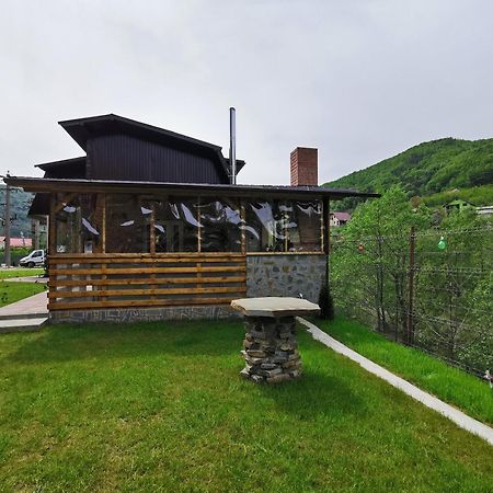 Casa Vio Guest House Nehoiu Ngoại thất bức ảnh