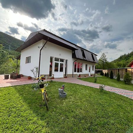 Casa Vio Guest House Nehoiu Ngoại thất bức ảnh