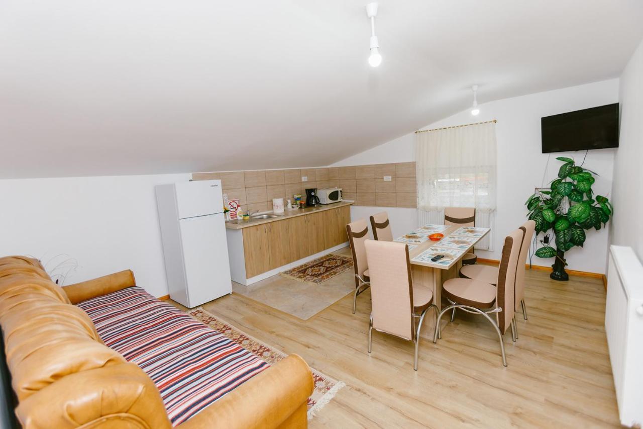 Casa Vio Guest House Nehoiu Ngoại thất bức ảnh