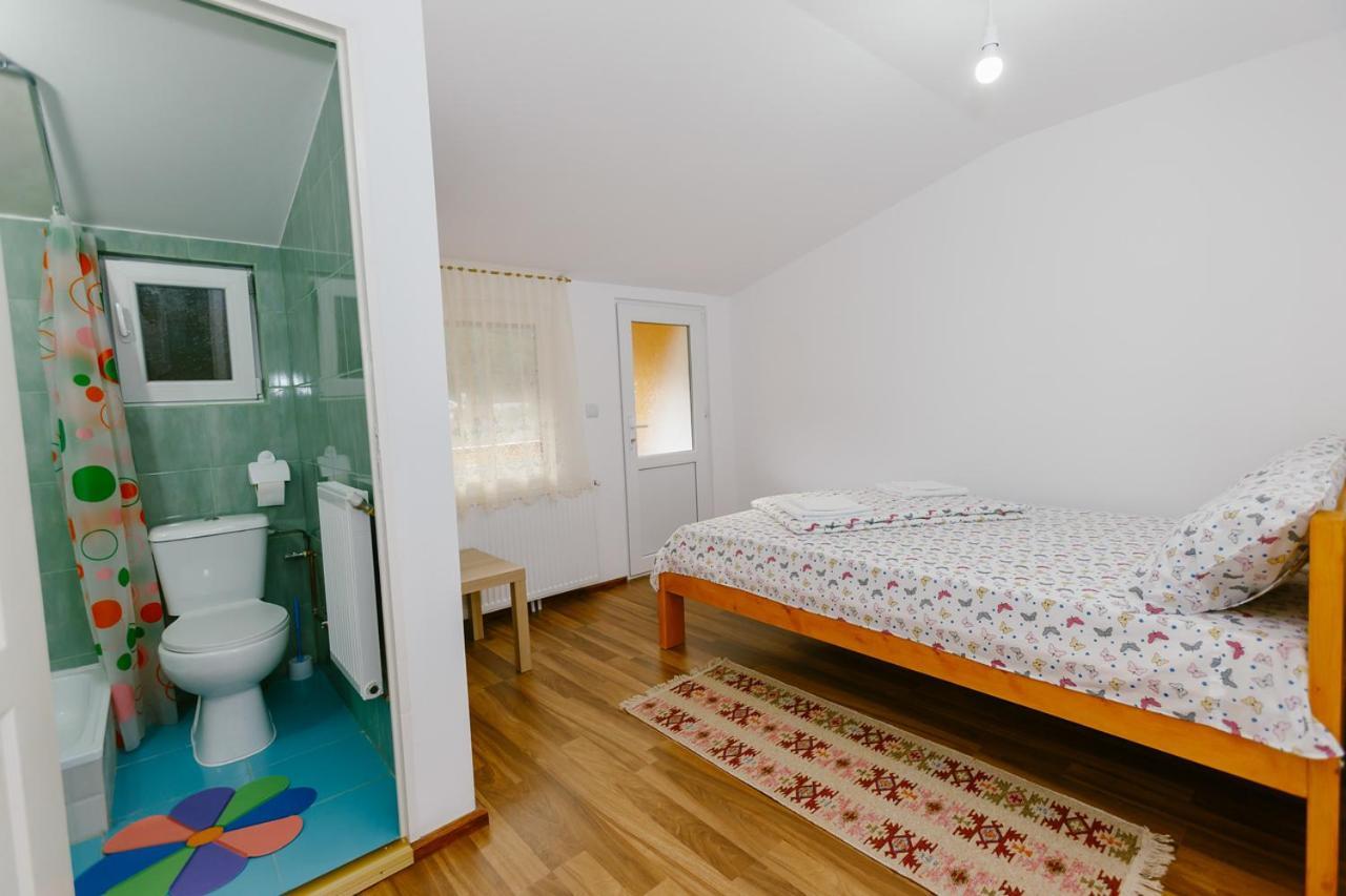 Casa Vio Guest House Nehoiu Ngoại thất bức ảnh
