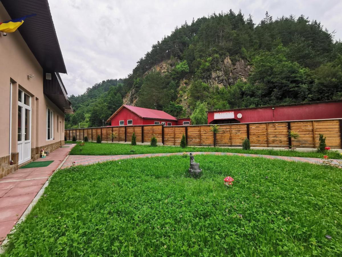 Casa Vio Guest House Nehoiu Ngoại thất bức ảnh
