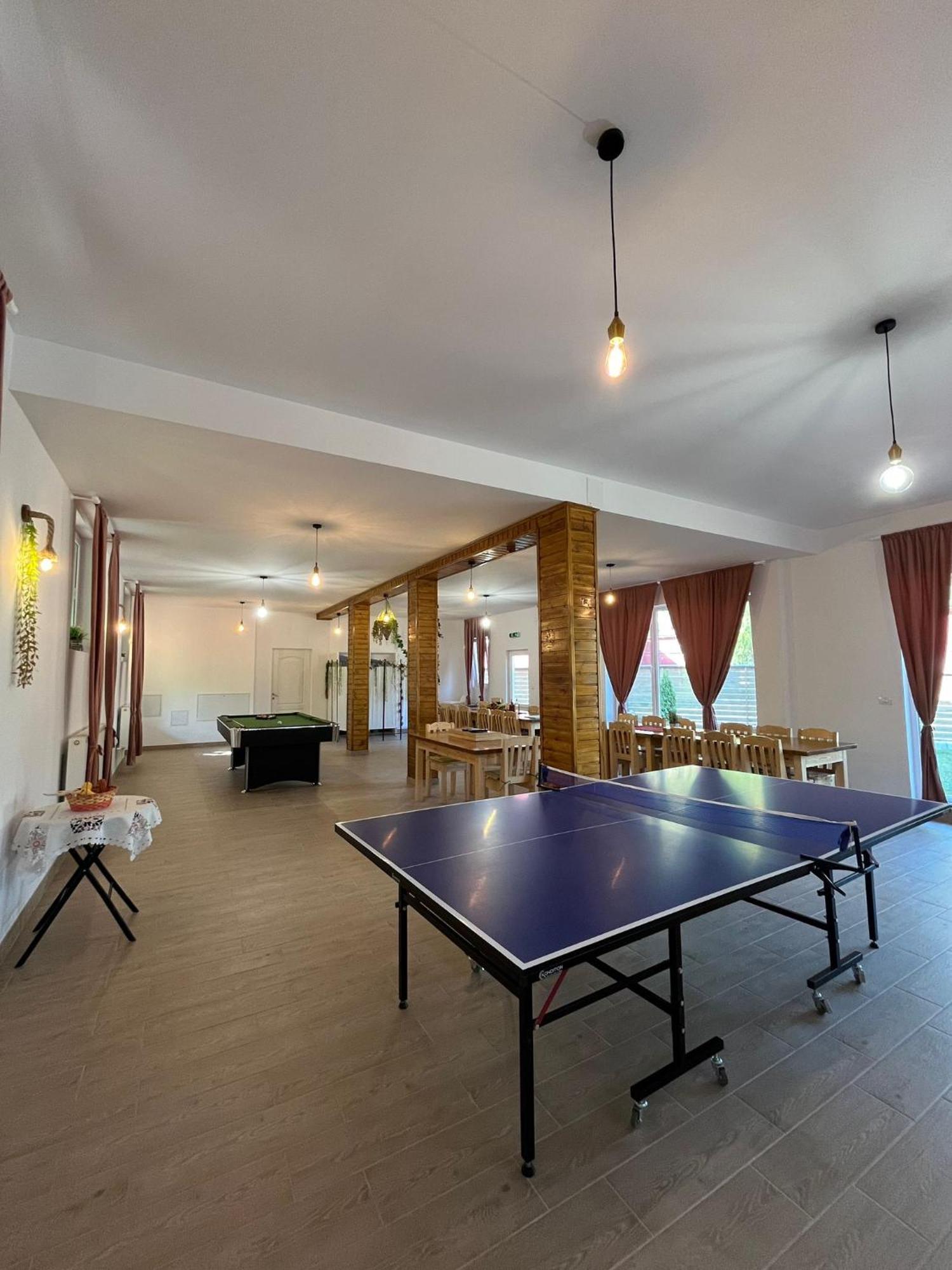 Casa Vio Guest House Nehoiu Ngoại thất bức ảnh