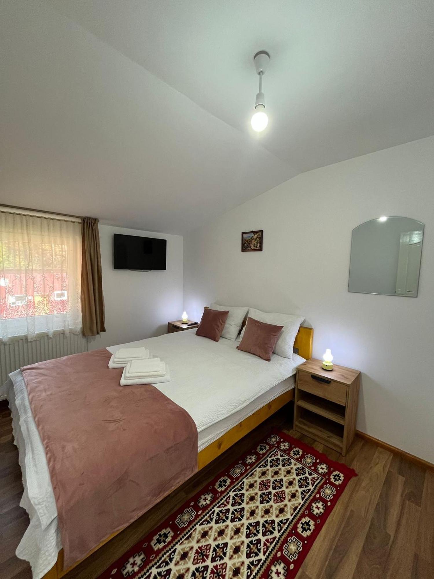 Casa Vio Guest House Nehoiu Ngoại thất bức ảnh