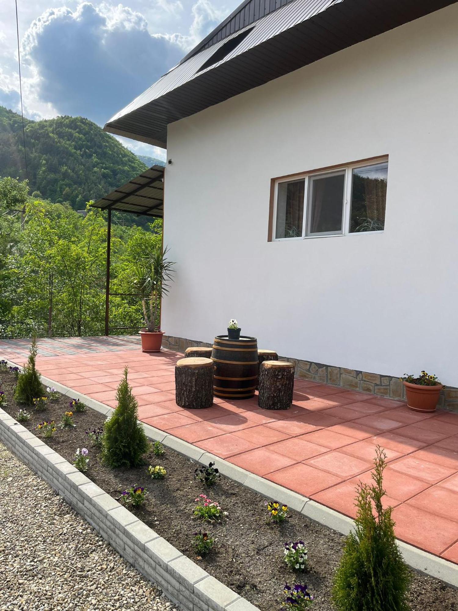 Casa Vio Guest House Nehoiu Ngoại thất bức ảnh