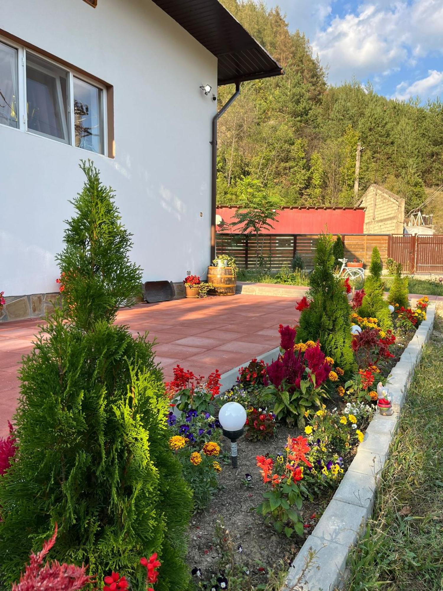 Casa Vio Guest House Nehoiu Ngoại thất bức ảnh